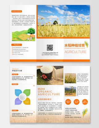 橙色简约水稻种植培育宣传三折页农业种植三折页